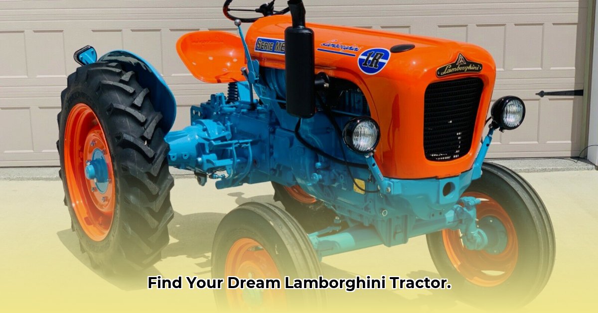 lamborghini-tractor-dealers-usa